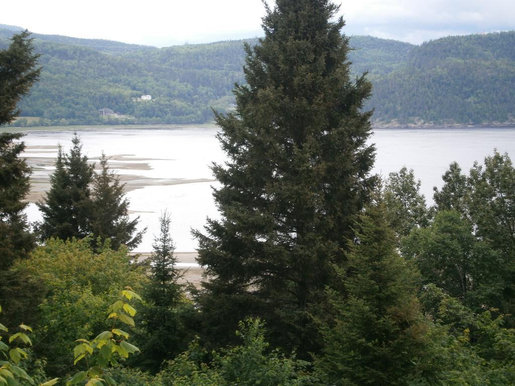 Apartamento Panoramique Du Fjord LʼAnse-Saint-Jean Exterior foto