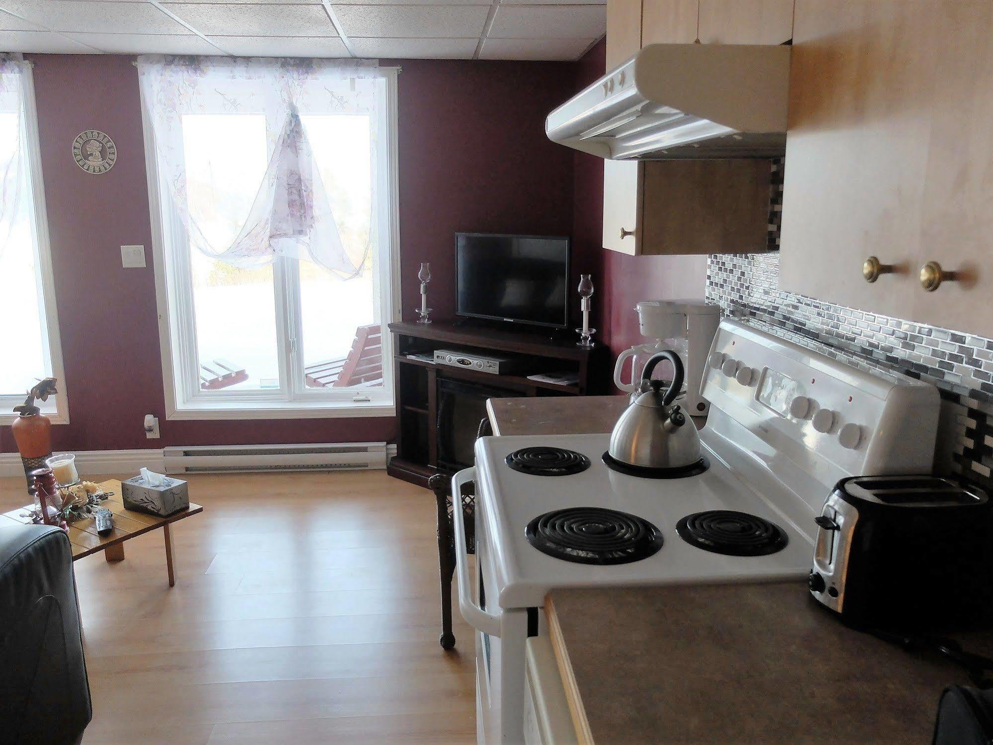 Apartamento Panoramique Du Fjord LʼAnse-Saint-Jean Exterior foto