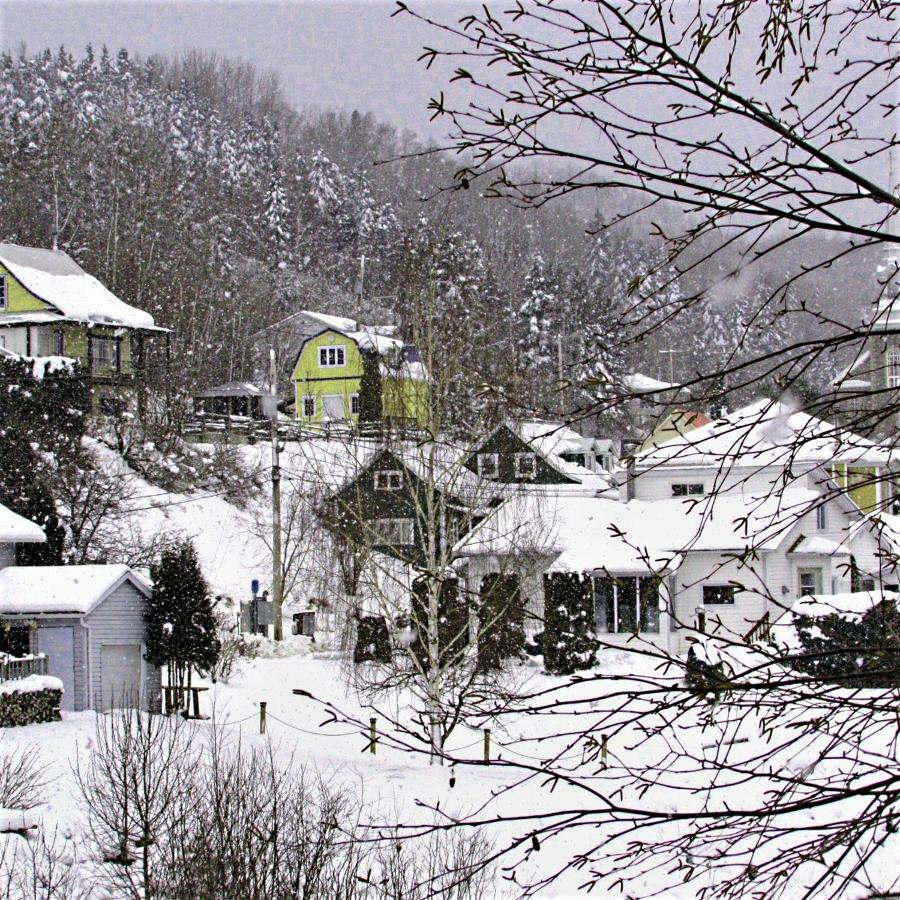 Apartamento Panoramique Du Fjord LʼAnse-Saint-Jean Exterior foto