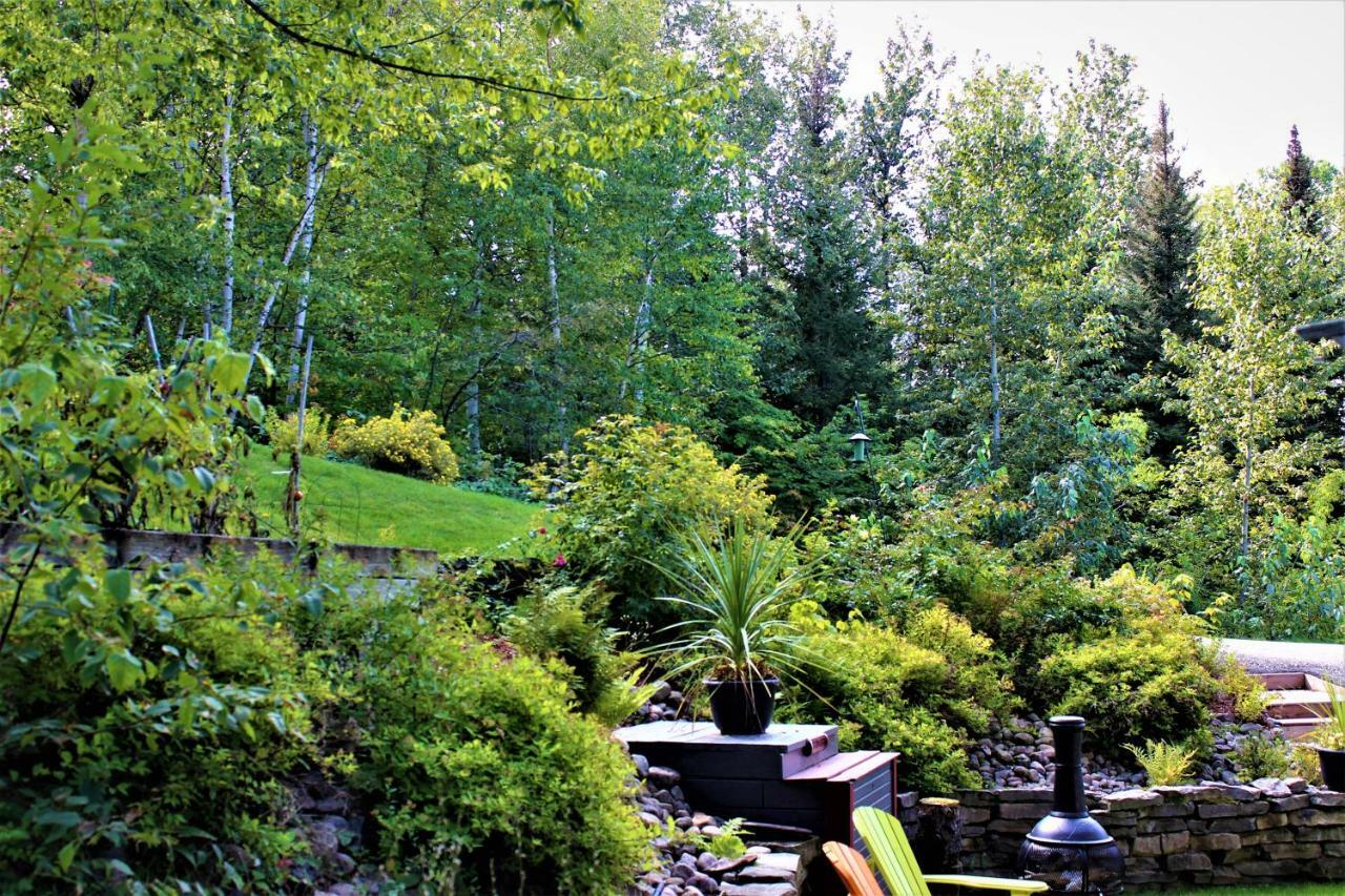 Apartamento Panoramique Du Fjord LʼAnse-Saint-Jean Exterior foto